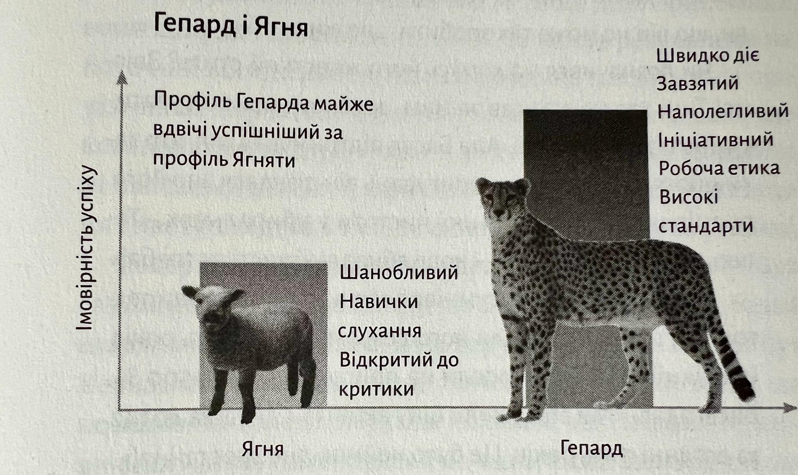 Гепард і Ягня – порівняння профілів кандидатів